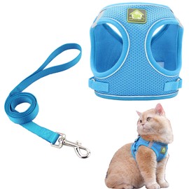 Soft Small Dog Harness and Leash Set Step in Air Mesh Puppy Harness Leash Reflective Adjustable Puppy Vest for Small Dogs Cats. (Blue, S)