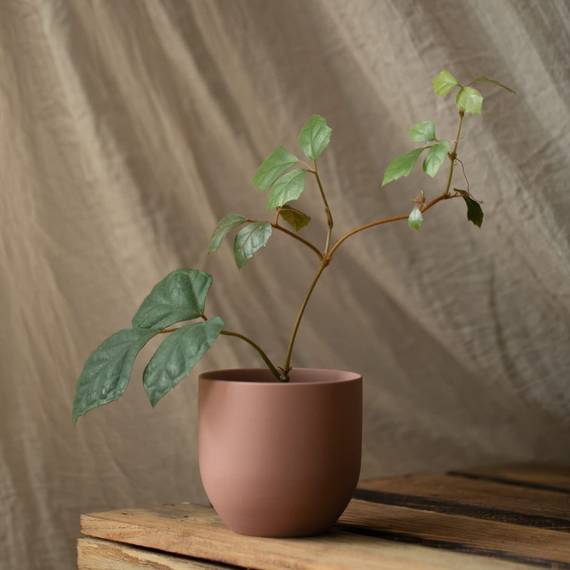 AmeliaHome Flower Pot, Ceramic, Shire Dusky Pink, 10x9,5 cm