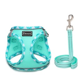 Elevant Dog Harness with Lead, Step-in Soft Padded Harness, Reflective, Air Mesh Breathable Chest Harness, Puppy Harness for Small Dogs, Pets, Puppies, Cats (XXS, Light Green)
