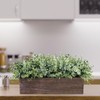 Winlyn Winlyn 14" Artificial Eucalyptus in Rectangular Wood Planter Box