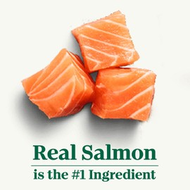 Nutro Natural Choice Adult Dry Dog Food, Salmon & Brown Rice Recipe, 28 lb. Bag