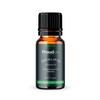 ProudCo - Aceite Esencial de Eucalipto - 15ml - Aromaterapia