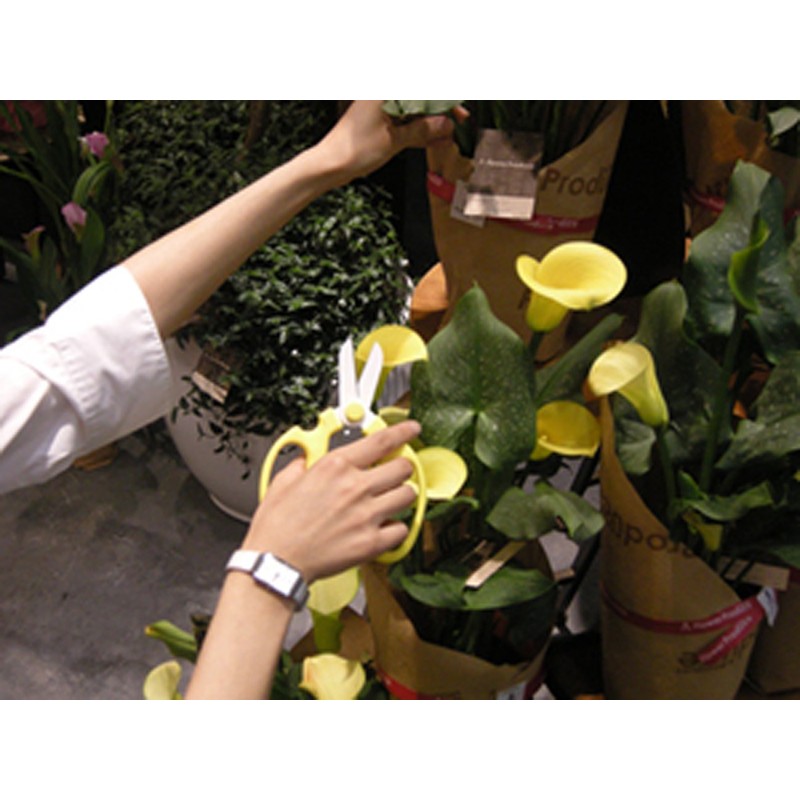 Flower Scissors Hand Creation F-170 limited color Yellow