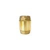 CMI Inc 1 Inch Brass Spring Check Valve,1 in. X