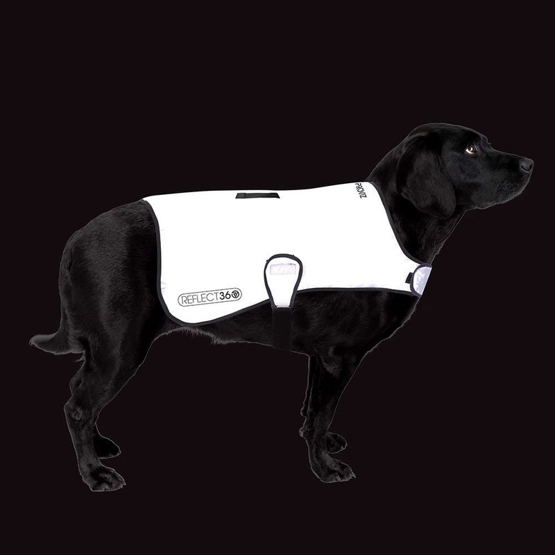Proviz Waterproof Dog Jacket REFLECT360-100% Reflective and Waterproof (Large)