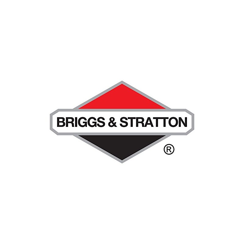 Briggs & Stratton Genuine Air Filter & Spark Plug Set