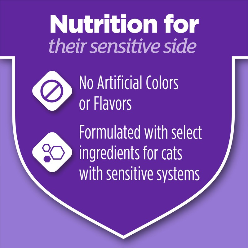 Purina Cat Chow Gentle Sensitive Stomach and Skin Dry Cat