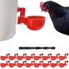 Chicken Waterer Cups | Automatic Large Chicken Water Feeder for