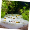 WOONEKY Aquarium Snail Catcher Practical Plastic Snail Trap for Freshwater