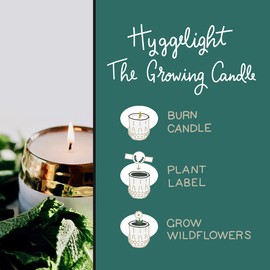 The Growing Candle, from Flame to Flower, Lemongrass Scented, Non-Toxic, 100% Soy Wax, Indoor Wildflower Garden, Aromatherapy Gift for Women, 10oz, 45-50 Hr Burn Time, Clara