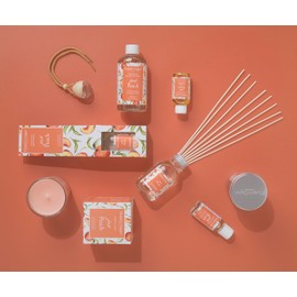 Hassett Green London - Just Peach - Car Air Freshener Refill 50ml Bottle - Suitable for Refilling Wooden Top, Board & Felt Pad Car Fresheners