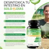 Kit Apoyo Digestivo Días Bienestar Intestinal