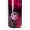 hype FIREWORKS Water Bottles