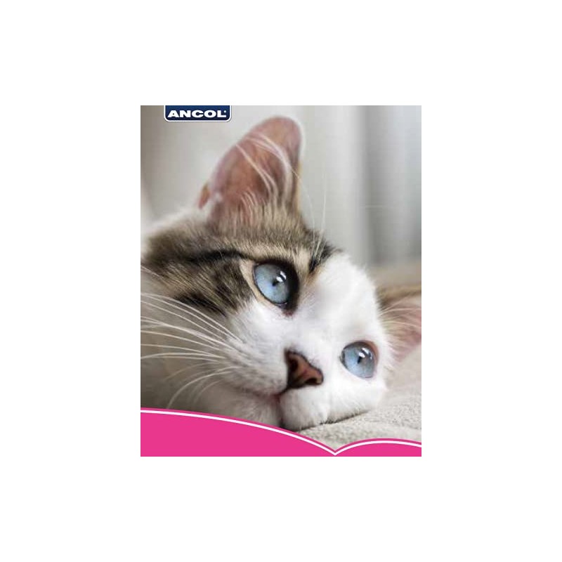 Ancol Reflective Safety Buckle Cat Collar Red