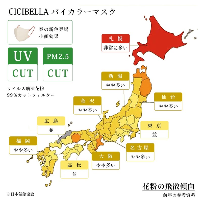 シシベラマスク cicibella 立体マスク 3dマスク バイカラーマスク 20枚入 花粉対策マスク 不織布 小さめ 使い捨てマスク