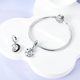 MULA 925 Sterling Silver Charms for Bracelets and Necklaces Airplane Passport Dangle Pendants Beads Butterfly Dragonfly Charms Jewelry Charm for Women