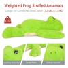 Niuniu Daddy 20" | 3.3 Pound Frog Weighted Stuffed Animals
