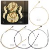MI&VI SOLOIST’S Violin Strings — 4/4 Scale Full Set (G-D-A-E)