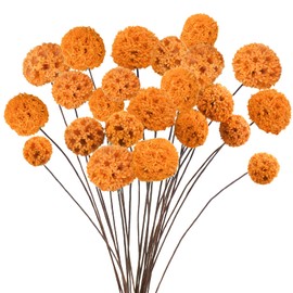 Phliofd 24 PCS Dried Craspedia Billy Balls Flowers, 18” Natural Dried Flowers Bouquet for Vase Floral Arrangements Wedding Table Centerpieces Party DIY Home Decor (Orange)