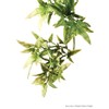 Exo Terra Plastic Croton Plant Medium
