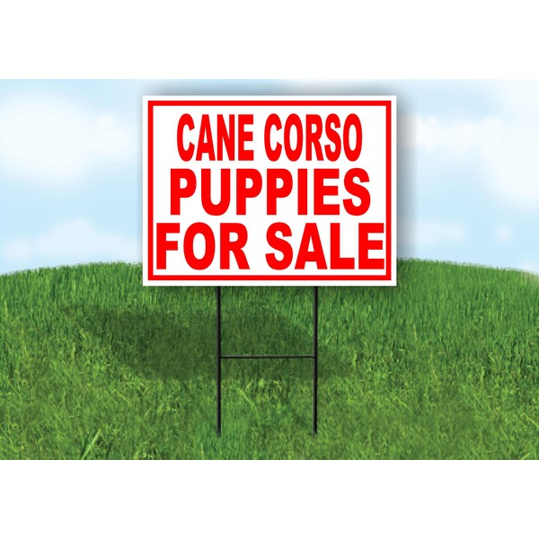 Cane Corso PUPPIES FOR SALE RED - Single Sided Yard