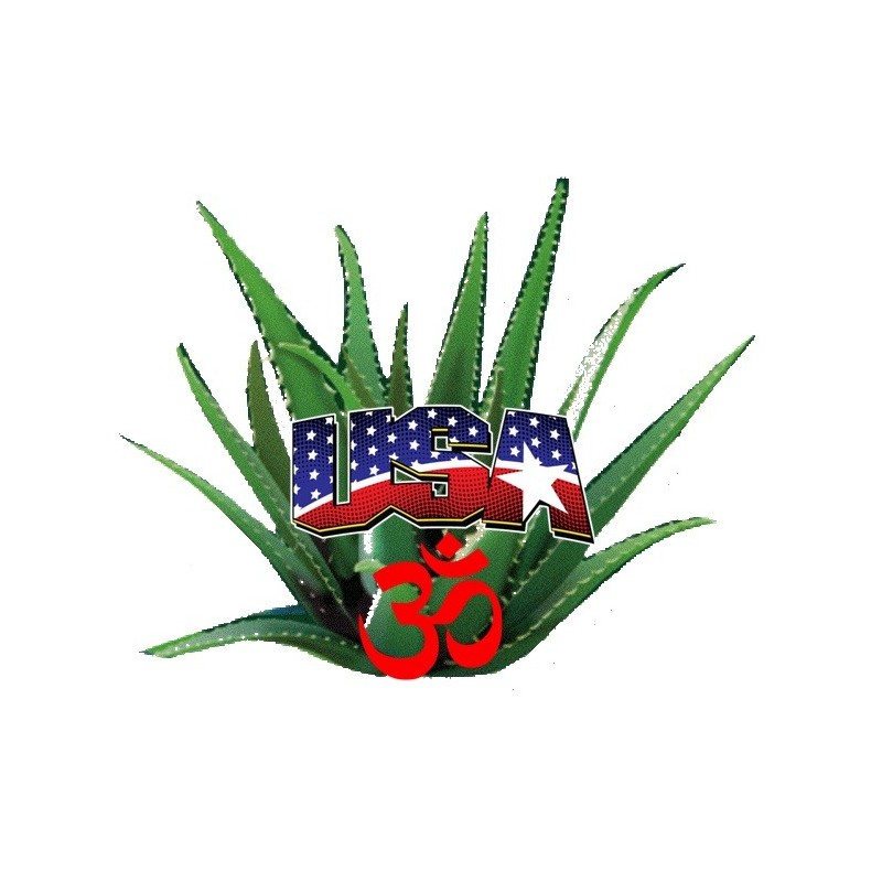 NATURAL BEE Venom Extract anti-inflamatory Extracts Arthritis support Abee thera