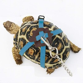 Adjustable Turtle Harness Leashes Soft Leather Harness Strap for Tortoise Pet Outdoor Walking Lead Control Rope Chest Collar Leash for Turtle Supplies (L,Blue)