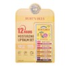 Burt's Bees Lip Balm 5 Pack CS / 버츠비 립밤 5입 CS