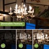 Sigalux E12 LED Candelabra Bulb 60 Watt Equivalent, Dimmable Chandelier