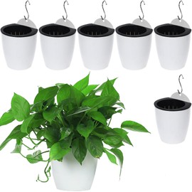 DEELF OUTLET 6 Packs 5" Plastic Self Watering Pots Wall Hanging Planters Wall Mounted Wicking Flower Pots for Indoor and Outdoor African Violet, Ocean Spider Plant, Orchid, White