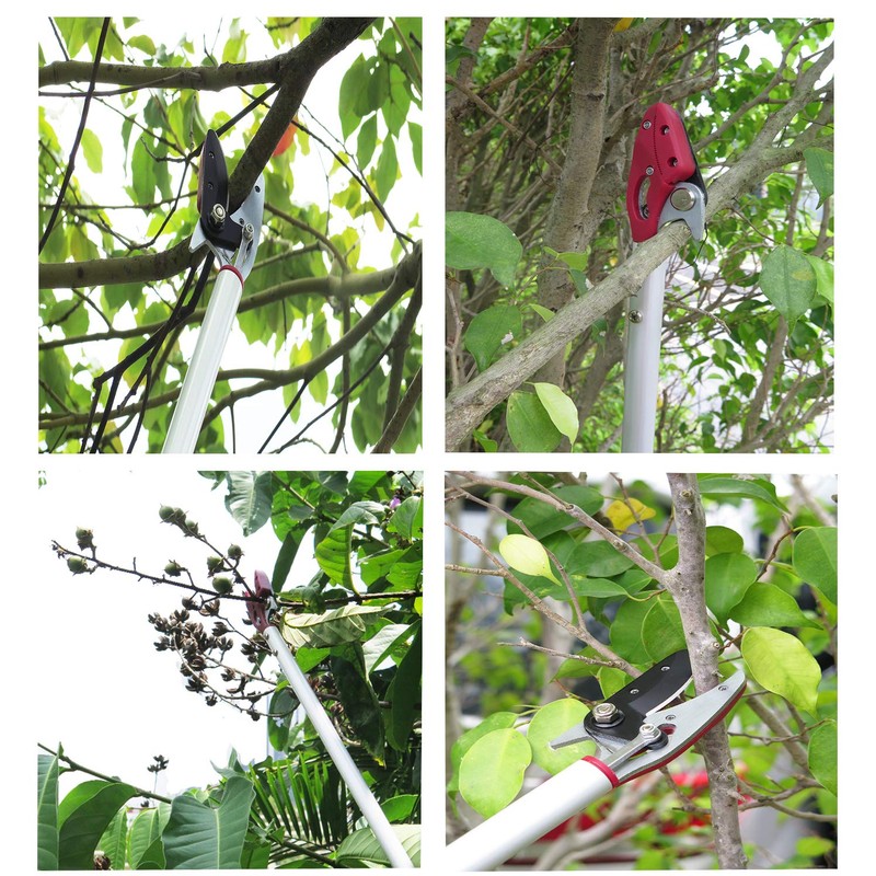 Mesoga 6 Feet Cut and Hold Tree Pruner, Rotation Pole