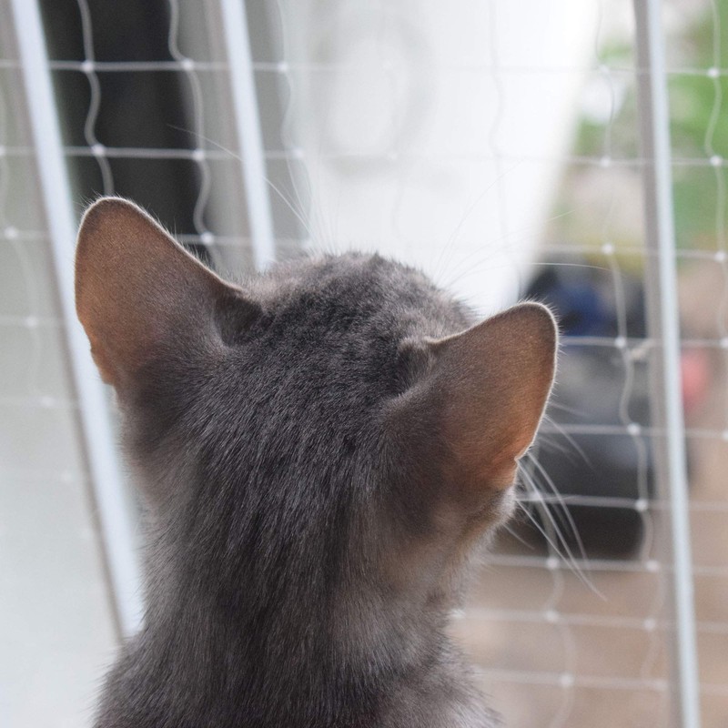 Pet Prime Cat Net for Balcony, 4 x 3 m,