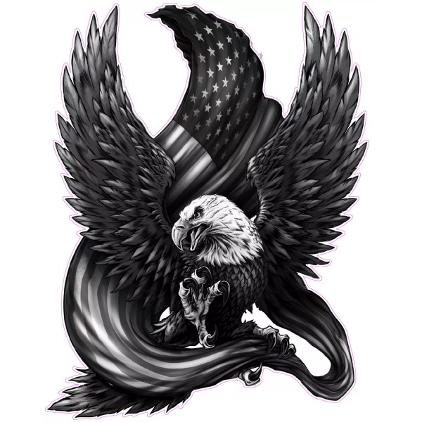 Graphics & More American bald Eagle American flag Black &