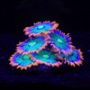 ZtohPyo Glowing Effect Soft Anemone Aquarium Fish Tank Decorations Silicone