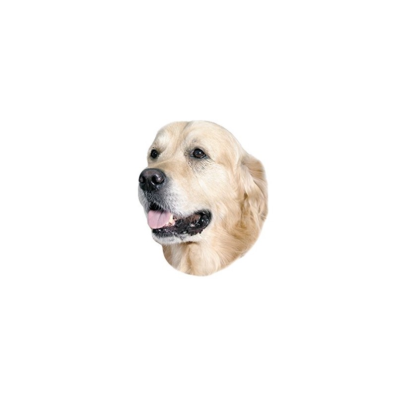 Nobby Sticker Golden Retriever