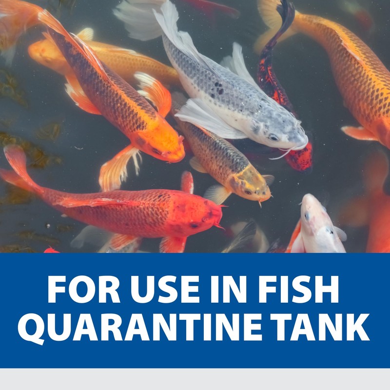 The Pond Guy Pond Salt - 10 Pounds