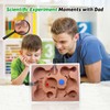Ant Farm with DIY Living Ants for Children - Ant