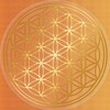 Flower of Life Sticker 9 cm with Protective Varnish Transparent