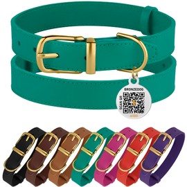 BRONZEDOG Leather Dog Collar with QR ID Tag Basic Pet Collars for Small Mini Dogs Cats Puppies (9-11 Inch (Pack of 1), Green & Gold Buckle)