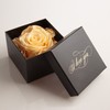 Infinity Rose Preserved Rose Box I Love You Gift for