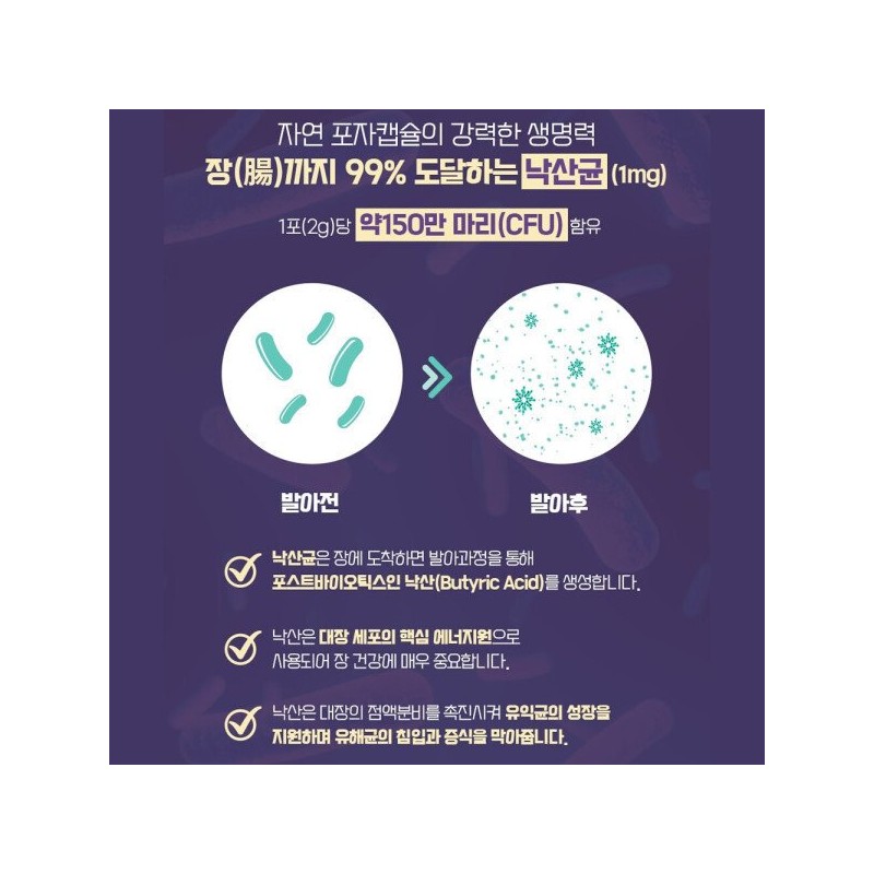 ILDONG Life Science 일동생활건강 낙산균 생 유산균 100억 30포 포스트바이오틱스
