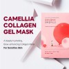 ROUND LAB Camellia Collagen Mask NET wt. 34 g/1.19 Fl