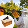 10 Frame Deep Brood Bee Hive Box, Langstoth Beehive Deep