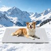 Dog Cooling Mat, Reversible Washable Breathable Summer Pet Bed with