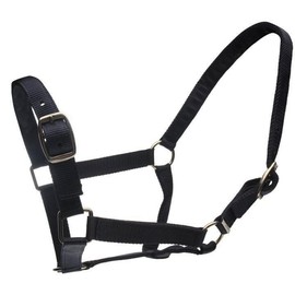 Roma Set of Headcollar and Leadropes Full Size Black
