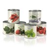MacFlowers Small Growing Set with Mint, Gift with a Variety