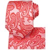 KissTies Mens Tie Set Coral Red Paisley Necktie + Pocket