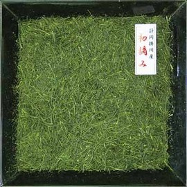 New Tea Deep Steamed Tea "Hatsukumi" 100g "100% Kakegawa Tea" Deep Mushi Tea Shizuoka Kakegawa Tea Sajimoto Tea