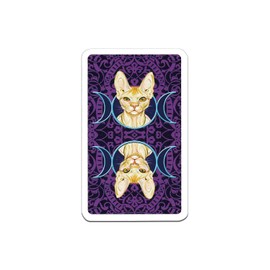 Tarot Cards, Mini Size, Divination Telling, 78 Cards, Miniature, Tarot of Pagan, Cats, Japanese Booklet "Pocket Manual", Tarot Cards