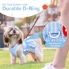 XGDMEIL Cute Strawberry Small Dog Dress with D-Ring Princess Lace